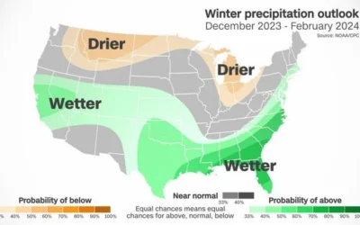Teen Driving Tips for a Safe Winter